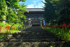 2025本山慈恩寺 曼珠沙華①