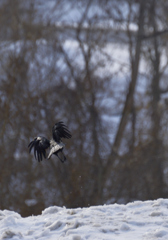 taking off