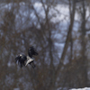 taking off