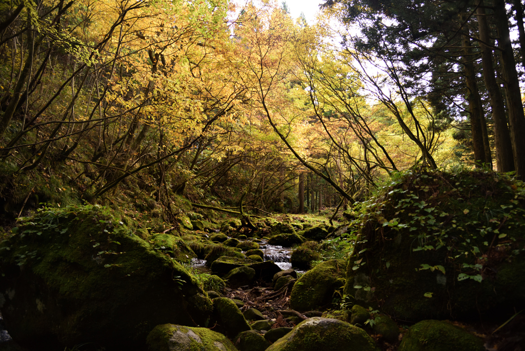 2021-10-31元滝川　②