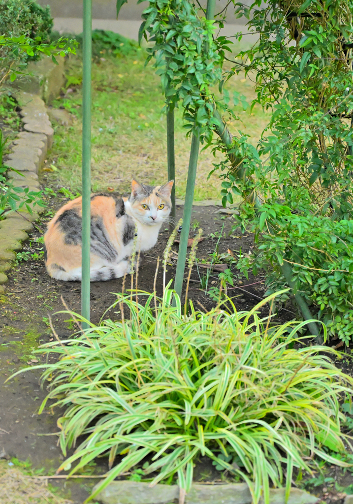 2026 正月　銚子散歩②