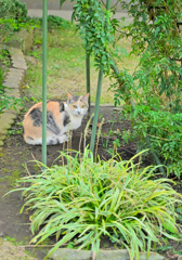 2026 正月　銚子散歩②