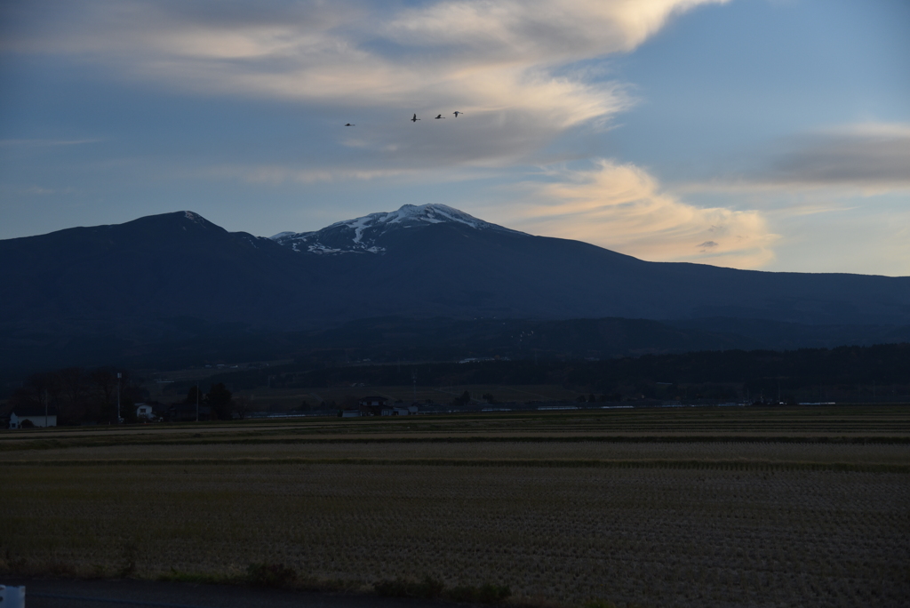 2022-11-20 鳥海と白鳥