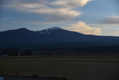 2022-11-20 鳥海と白鳥
