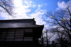 春の日差しと国分寺