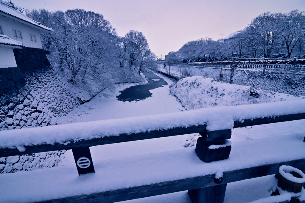 2026-01-31 続断続的な積雪②