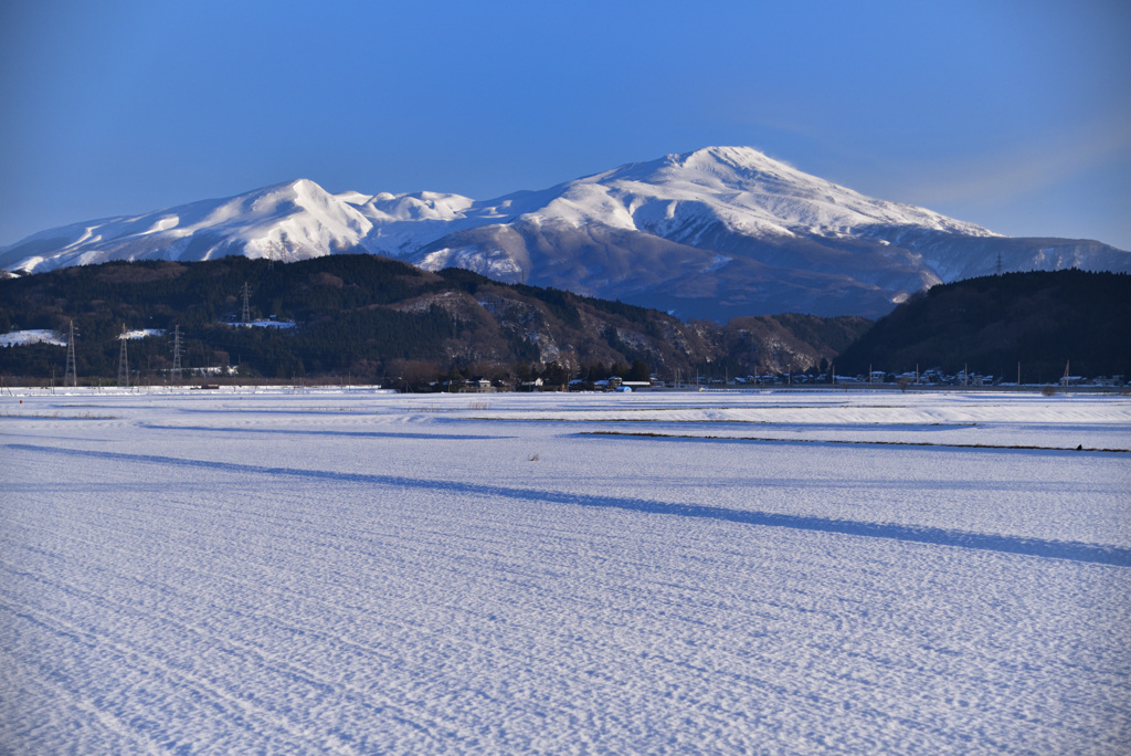 ２０２１－１月