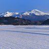 ２０２１－１月
