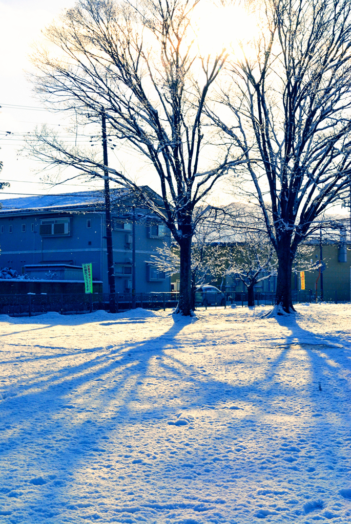 2025散歩写真納め①