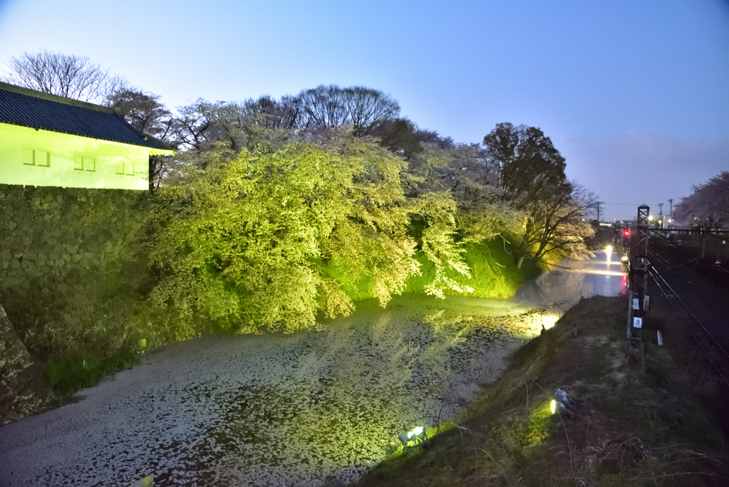2023-4-12　山形城二の丸跡の桜②