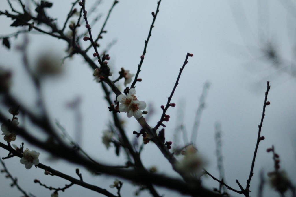 2023-3-19　遊佐の山寺②