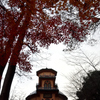 霞城公園の紅葉②