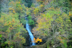 2024紅葉三昧⑥朝日川