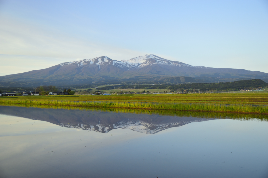 田植え前