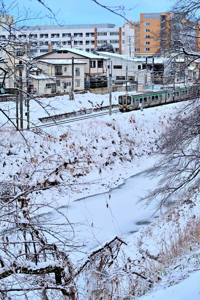 2026-02-01 続断続的な積雪④