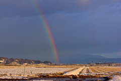 虹の向こうは晴れなのかしら