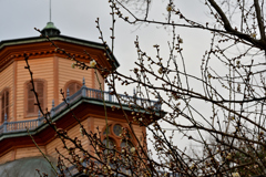 春は来ぬ 春ぞ来ぬ ⑤