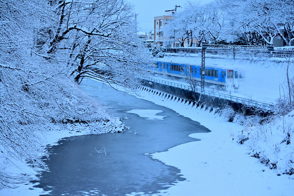 2026-01-31 続断続的な積雪①