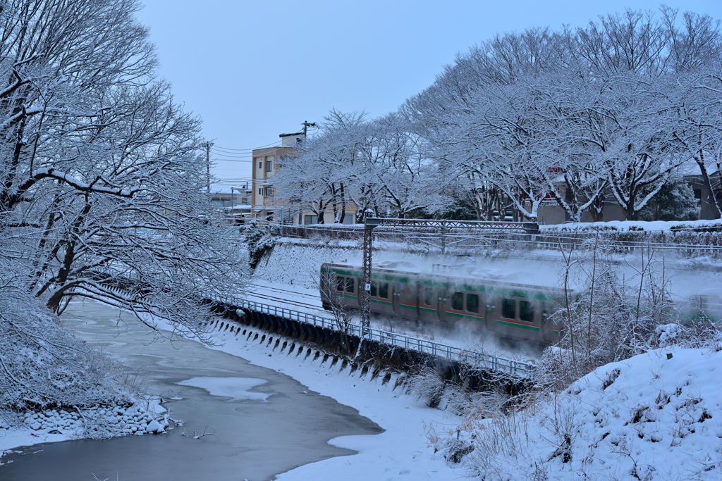 2026-01-31 続断続的な積雪③
