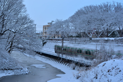 2026-01-31 続断続的な積雪③