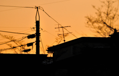 日暮れの街は薄く