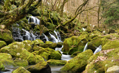 2023-3-19　元滝②