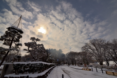 2026 -1-24 断続的な降雪④