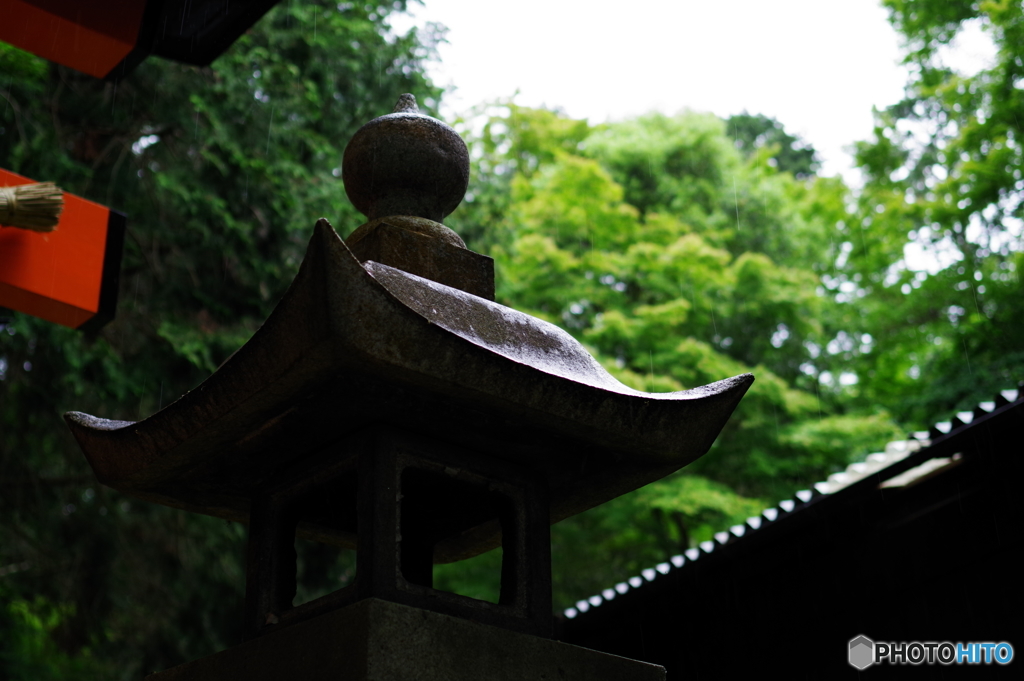 参道に雨が降る