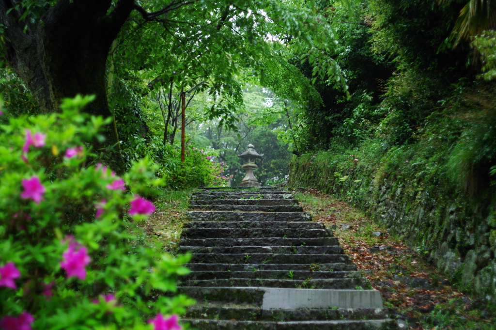 雨の匂い