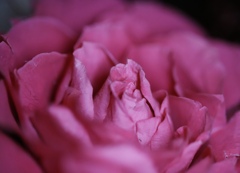 6D575E3F-8A7F-4A91-9B1B-B6FB8CEE0E6F