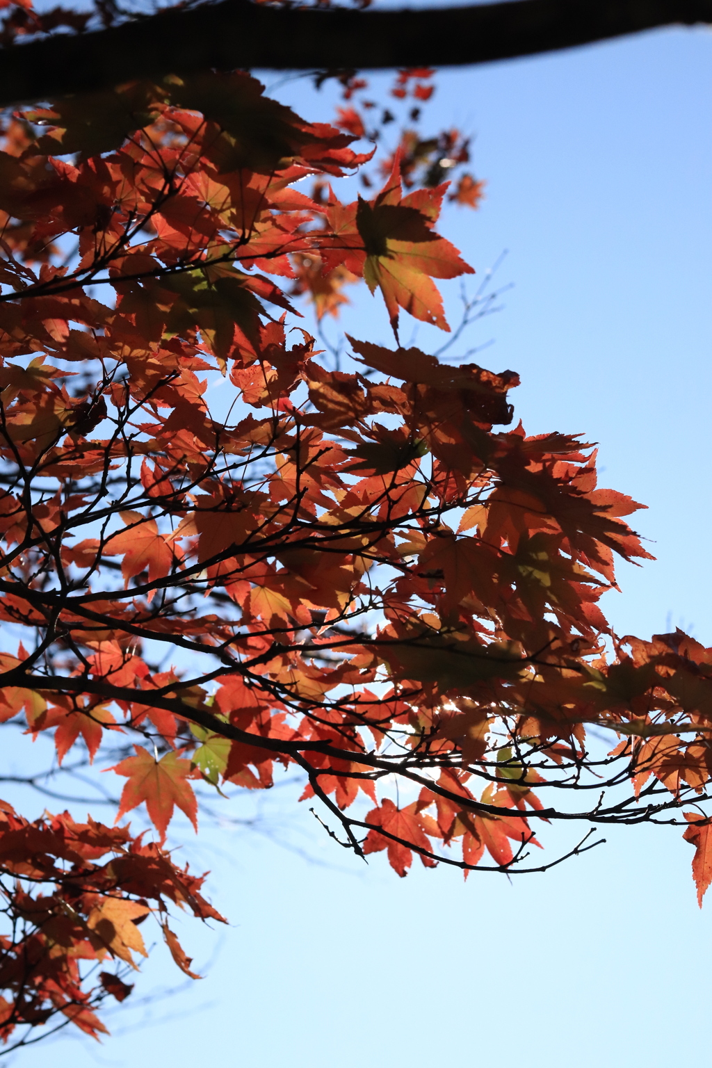 B3F1656F-3146-4960-A67C-D2C6BBEFF2B2