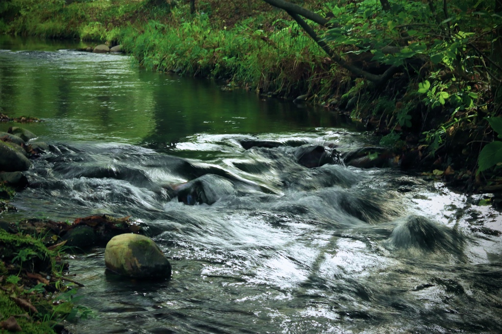 F7466C3E-2288-4E21-AA0D-81490A227C06