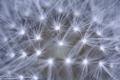 2A9143A9-844D-45E7-9BE8-5496FE259794