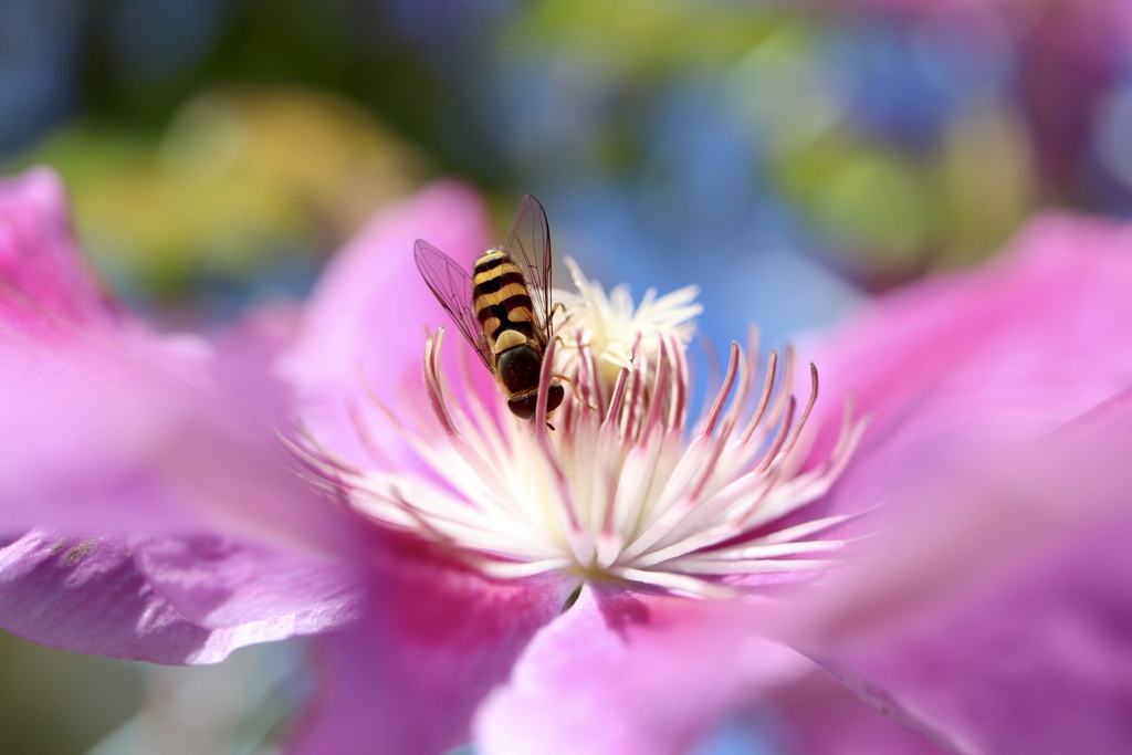 BA3D0088-C226-4DBF-87E6-A5F81F5947A6