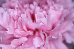 21703947-1702-4148-AFDF-A04744D77140