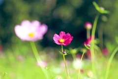 8205159F-5398-49A8-AE1E-1FBD02A88280