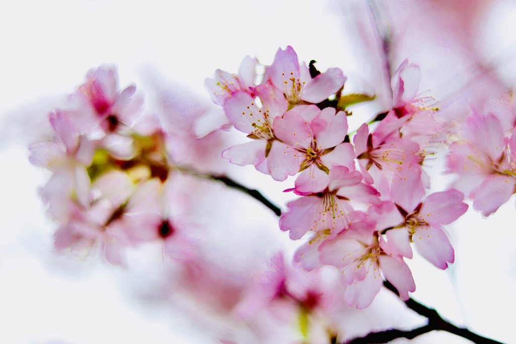 4DA41684-3616-4336-A3F4-B7C8531E7B7C