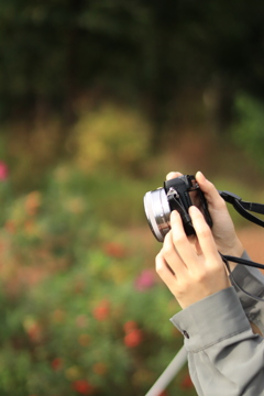 04A60945-D5A8-48BF-A392-4BFBBA0346E9