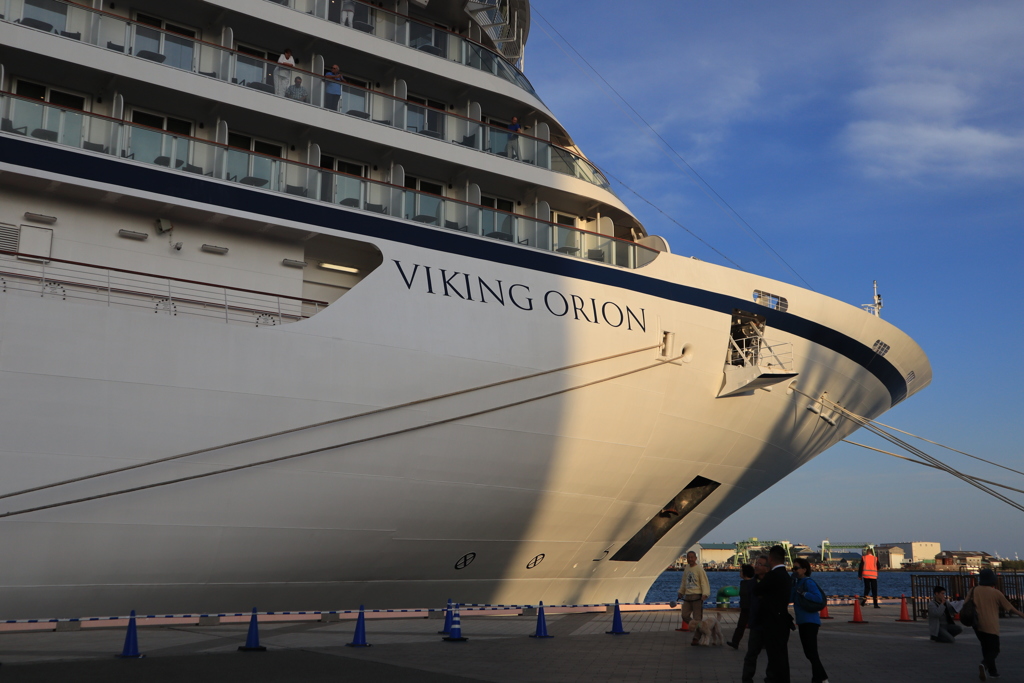 VIKING ORION