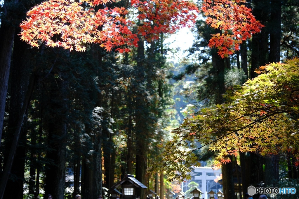 小国神社　1