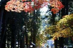 小国神社　1