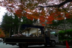 小国神社の紅葉 4