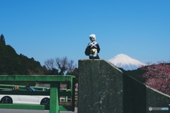 富士山 4