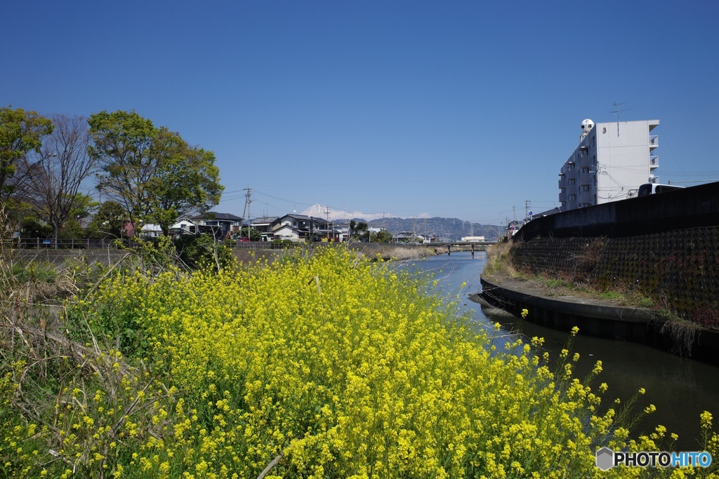 巴川と富士山