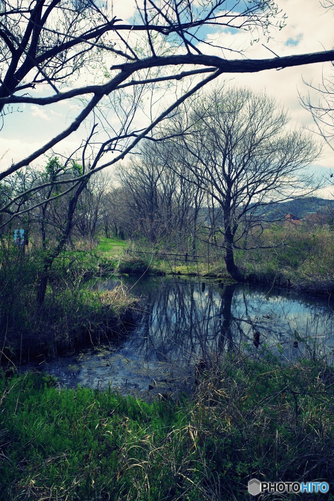 遊水地ポタ