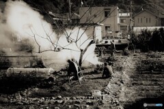 冬