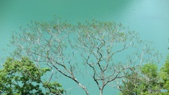 ダム湖  1