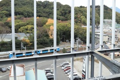 ぼんやり外を見ていたら