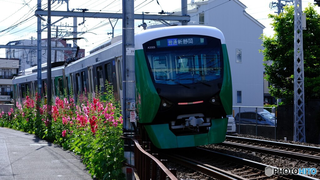 グリーントレイン