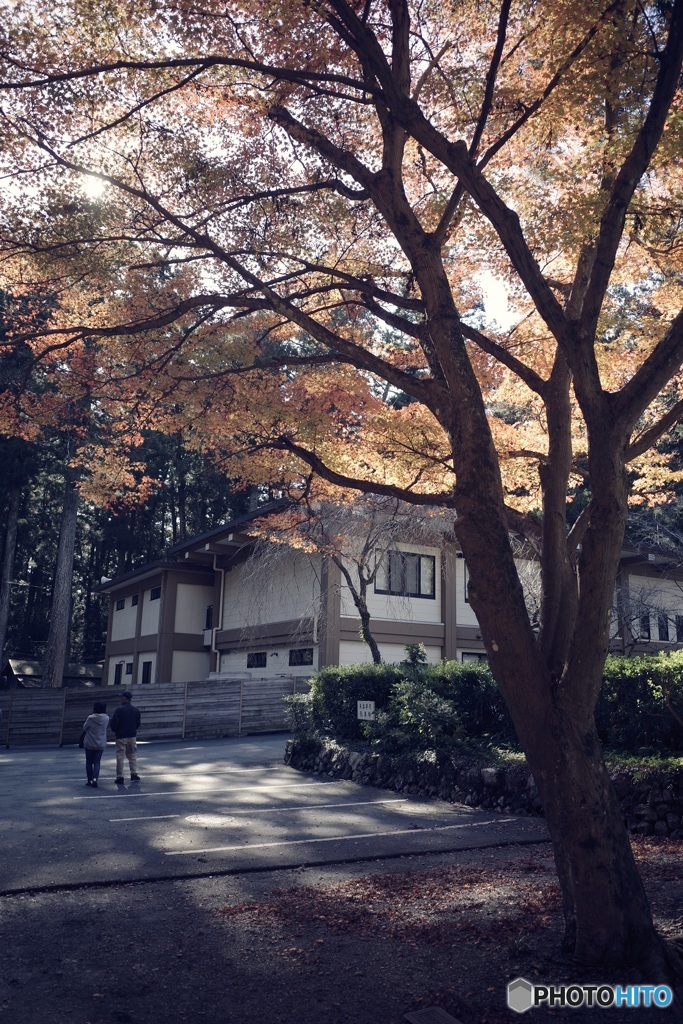 小国神社 3